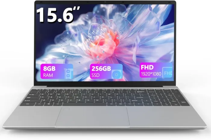 15.6 Inch Laptop, Laptop Computer, Windows 11, 8GB RAM, 256GB SSD, Intel Celeron Quad-Core Processor(Up to 2.9GHz), IPS Full HD Display with, Type-C, Wi-Fi, USB3.2 (15lnch-256)