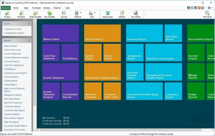 Express Accounts Accounting Software Free [PC Download] - Image 3