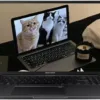 ASUS Vivobook 16" WUXGA IPS Notebook, Intel i7-1355U, Deca-Core, 16GB RAM, 1TB SSD, Indie Black, Intel Iris Xe Graphics, TWE Mouse Pad